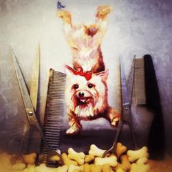 Dany Dog, Fréjus - Horaires d'ouverture