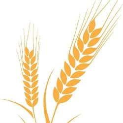 Boulangerie Fuchs Denis, Gundolsheim - Horaires d'ouverture