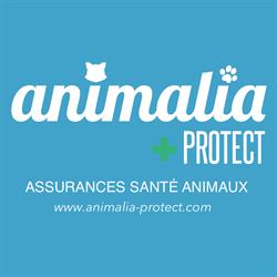 Animalia Protect - Assurance chien, assurance chat, assurance animaux, Montbonnot-Saint-Martin - Horaires d'ouverture