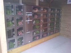 Le Distributeur de Marjo, Martot - Horaires d'ouverture