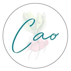 CAO Anglet, - Horaires d'ouverture