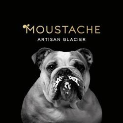 Glaces Moustache-Artisan Glacier, Mimizan - Horaires d'ouverture
