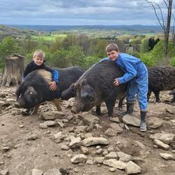 la ferme des 3 petits cochons, La Chapelle-Taillefert - Horaires d'ouverture