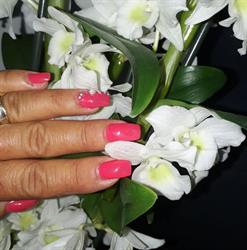 Bella’Nails, Brignoles - Horaires d'ouverture