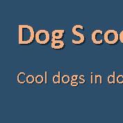 Dog S cool, Mérignies - Horaires d'ouverture