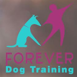 Forever Dog Training, Argenteuil - Horaires d'ouverture