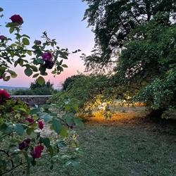 Evergreen Guest House & Café, Vernon - Horaires d'ouverture