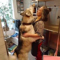 Les Puppies d’LN, Rombas - Horaires d'ouverture