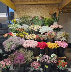 Mr jardinage fleuriste, Amblainville - Horaires d'ouverture