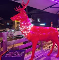 LES RONINS, Praz-sur-Arly - Horaires d'ouverture
