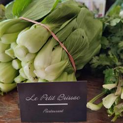 Le Petit brissac, Angers - Horaires d'ouverture