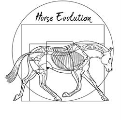 Ecurie Horse Evolution, Fronton - Horaires d'ouverture