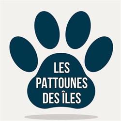 Les pattounes des îles, Tourcoing - Horaires d'ouverture