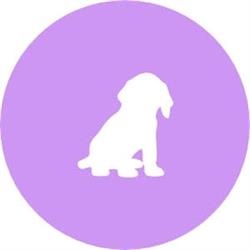Happy dog 23, Bourganeuf - Horaires d'ouverture