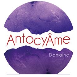 AntocyÂme, La Salvetat-Belmontet - Horaires d'ouverture