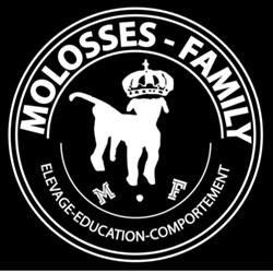 Molosses Family, Marzy - Horaires d'ouverture