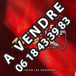 Le Patio Massimo, Nissan-lez-Enserune - Horaires d'ouverture