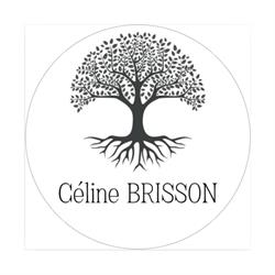 Céline BRISSON - DMR, Tours - Horaires d'ouverture
