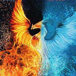 Phenix bat, Corcieux - Horaires d'ouverture