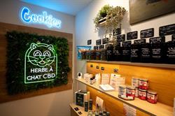Herbe a Chat CBD Tours, - Horaires d'ouverture