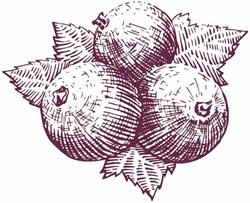 Domaine Les Charmes, Sermoyer - Horaires d'ouverture