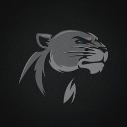 Black Panthers Thonon, Thonon-les-Bains - Horaires d'ouverture