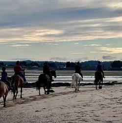 Centre Equestre du Val de Saire, Réville - Horaires d'ouverture