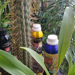 CBD Quimper - HydroetCulture Quimper, - Horaires d'ouverture
