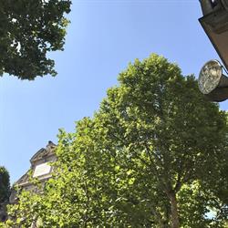 VIDALENC, ARNAL & LAGRANGE, Notaires, Paris - Horaires d'ouverture