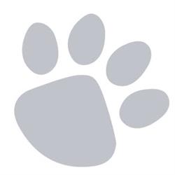 Cat Com - Graphiste freelance, Cannes - Horaires d'ouverture