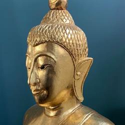 AMMA, Talence - Horaires d'ouverture
