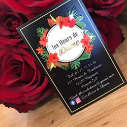 Les Fleurs de Diane, Cugnaux - Horaires d'ouverture