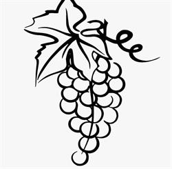 Le Repaire du Sommelier - Caviste, vins d'ici & d'ailleurs, Bières & Spiritueux, Montbrison - Horaires d'ouverture