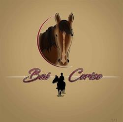 Sellerie Bai Cerise, La Roche-sur-Foron - Horaires d'ouverture