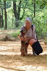 Formations Reiki Michelle Carlesi, Le Thor - Horaires d'ouverture