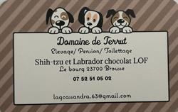 Cassandra Lagorsse, Brousse - Horaires d'ouverture