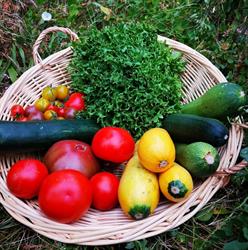 Thom Pousse Légumes Bio, La Chapelle-sur-Erdre - Horaires d'ouverture