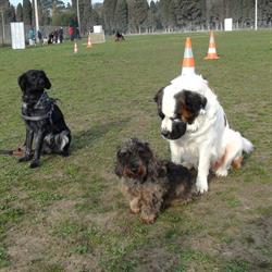club caninchaurien, Castelnaudary - Horaires d'ouverture