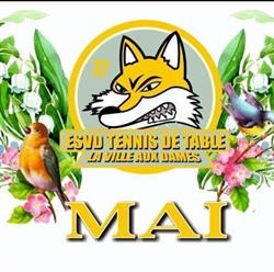 Salle Nicole Fortin Tennis de table, La Ville-aux-Dames - Horaires d'ouverture
