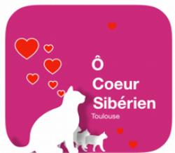 Chatterie Ô COEUR SIBERIEN, Toulouse - Horaires d'ouverture