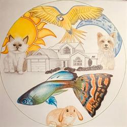 Mon Ange Gardien - Petsitter, Saint-Memmie - Horaires d'ouverture