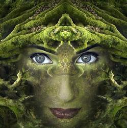 Jennifer PUECH - Psychanalyste, Hypnose, Psychogénéalogie, libération des traumatismes à Lesquin, - Horaires d'ouverture