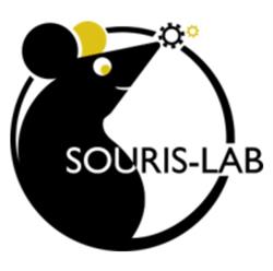 Souris-Lab - Studio de jeux vidéo et créations graphiques, Oyonnax - Horaires d'ouverture