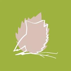 Centre Socio Culturel du Pays de Thann, - Horaires d'ouverture