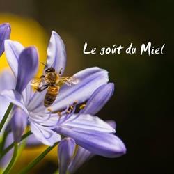 Le goût du miel, Hautefeuille - Horaires d'ouverture