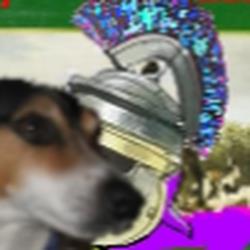 ENJOY-DOG, Nice - Horaires d'ouverture