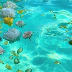 Natur'eau Bulle, Ploufragan - Horaires d'ouverture