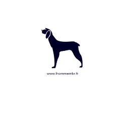 Maison MBR L'homme MBR, Auch - Horaires d'ouverture