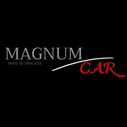 MAGNUM CAR VIENNE, Pont-Évêque - Horaires d'ouverture