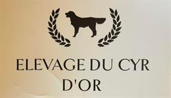 Elevage Du Cyr D'Or, Les Essards - Horaires d'ouverture